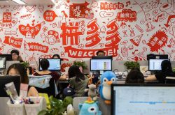 1分钟教程!怒江傈僳族自治州政务公开网_哔哩哔哩-2